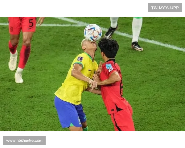 巴西联赛球迷文化的多元性与地域特色探索